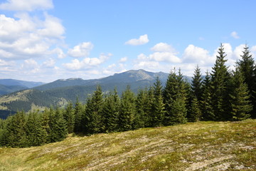 Summer landscape in the Carpathian Mountains (Romania).