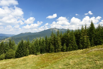 Summer mountain landscape.