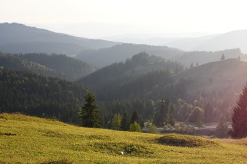 Summer mountain landscape.