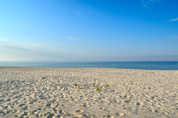 Fototapeta na wymiar Clean, sandy beach against the blue sea.