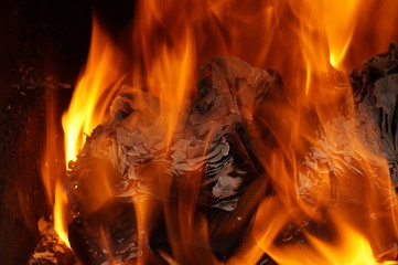Fototapeta premium fire