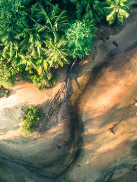 Dried out tropical river from above