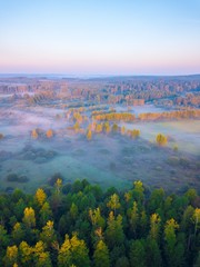 Beautiful foggy morning landscape photographed from above