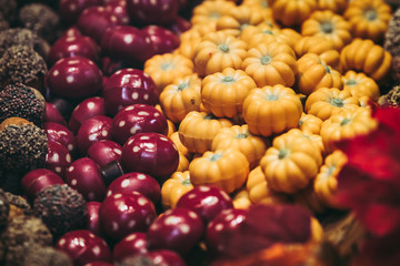 Chocolats en forme de citrouille