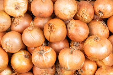 onions in the market