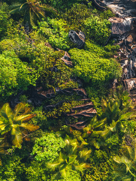 Aerial view on a tropical landscape