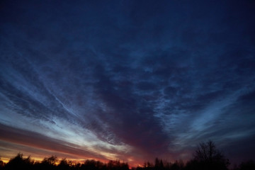 Twilight sky with clouds. Sunset and dark silhouette of trees on the horizon