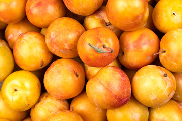 Yellow plum closeup