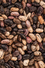 Close up Mix beans background, Mix beans seeds. Seed collection. Healthy food