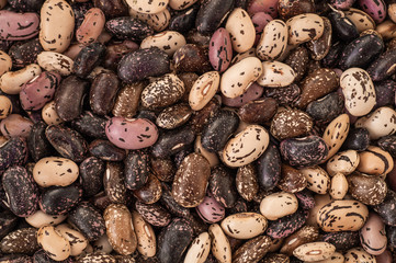Close up Mix beans background, Mix beans seeds. Seed collection. Healthy food