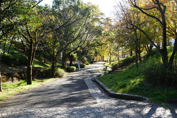散歩道
