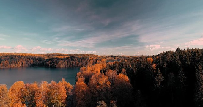 Flying up from behind trees to see the lake and forest landscape, Finland autumn day