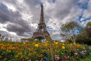 Fototapeta na wymiar Eifel tower clouds and flowers