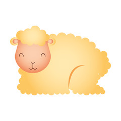 sheep cartoon animal wild life