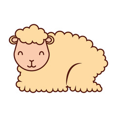 sheep cartoon animal wild life