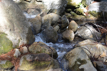 Obraz premium Stream in Forest