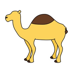 camel animal on white background