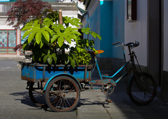 Fototapeta na wymiar Vintage bicycle with flowers near Chinese Buildings in Vancouver, British Columbia