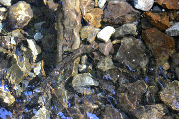 Stones Under Water