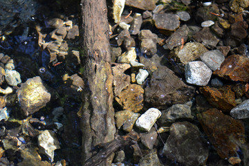 Stones Under Water