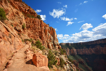 Fototapeta premium Grand Canyon