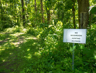 A sign forbidding wild mushroom hunting foraging is posted along a forest path