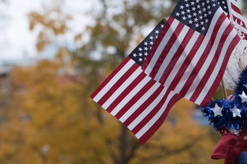 USA flag in autumn