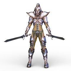 Obraz premium 戦う女戦士