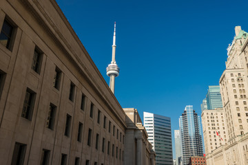 Fototapeta premium Rising above history