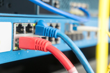 Telecommunication Ethernet Cables Connected to Internet Switch