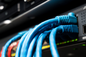Telecommunication Ethernet Cables Connected to Internet Switch