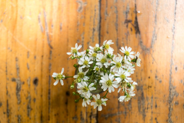 White flowers in glass vase in vintage tone on top view