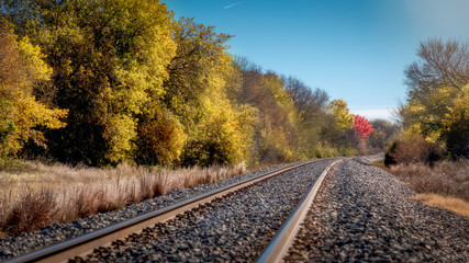 Fototapeta na wymiar Tracks in Autumn