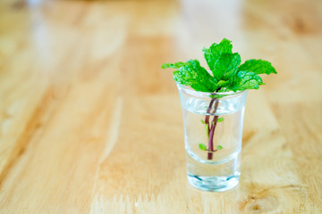 Herbal mint  in a glass cup on wooden table