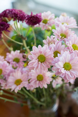 Beautiful pink flowers in vase