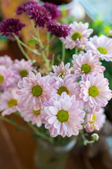 Obraz premium Beautiful pink flowers in vase
