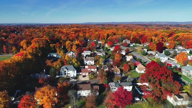 Aerial view of residential area in Autumn with colorful foliage