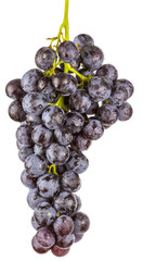 Grappe de raisin rouge