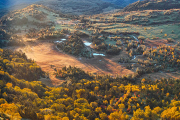 渋峠から望む秋の芳ヶ平湿原