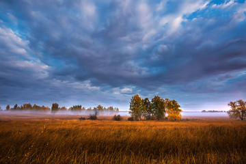 Autumn landscape. Western Siberia, Novosibirsk region, Suzun