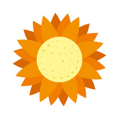 cute sunflower isolated icon