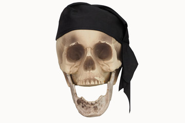 human skull with a black bandana on his head. front view isolated on white background