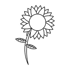cute sunflower isolated icon