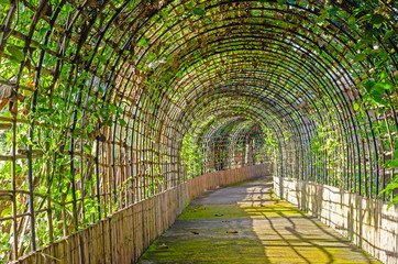 Arched bamboo tunnel arch and walkway