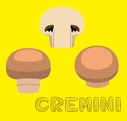 Mushroom Type Cremini Vector Illustration
