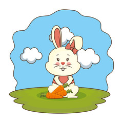 cute rabbit with carrot in the camp