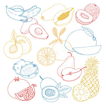 hand drawn vector illustration, a set of exotic fruits. sketch, graphic image