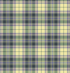 Tartan pattern. Geometric elements for fabric, textile, web design, wrapping paper