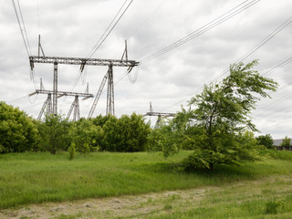 The high-voltage line rises above the forest
