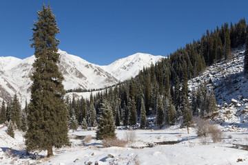 First picturesque sun rays on fir tree tops on sunrise morning winter mountain slope.